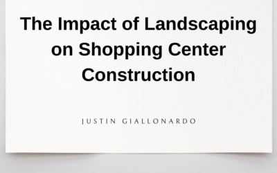 The Impact of Landscaping on Shopping Center Construction